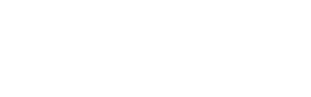 Next Step English Logo